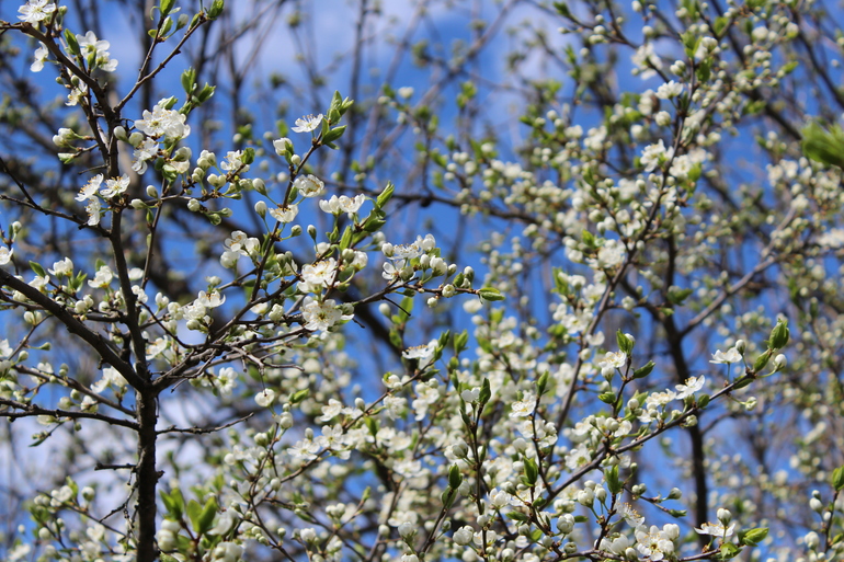 А на даче....