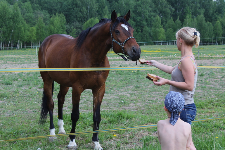Лето началось!!!