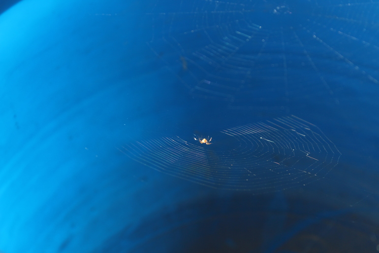 А на даче....