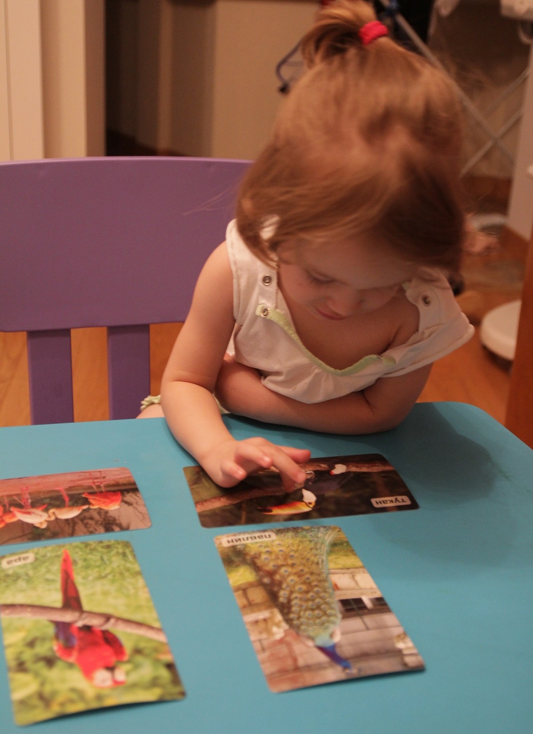 ТН Птицы день 5 вместе с проектом Play mama