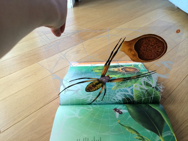 2D атлас Насекомые и пауки