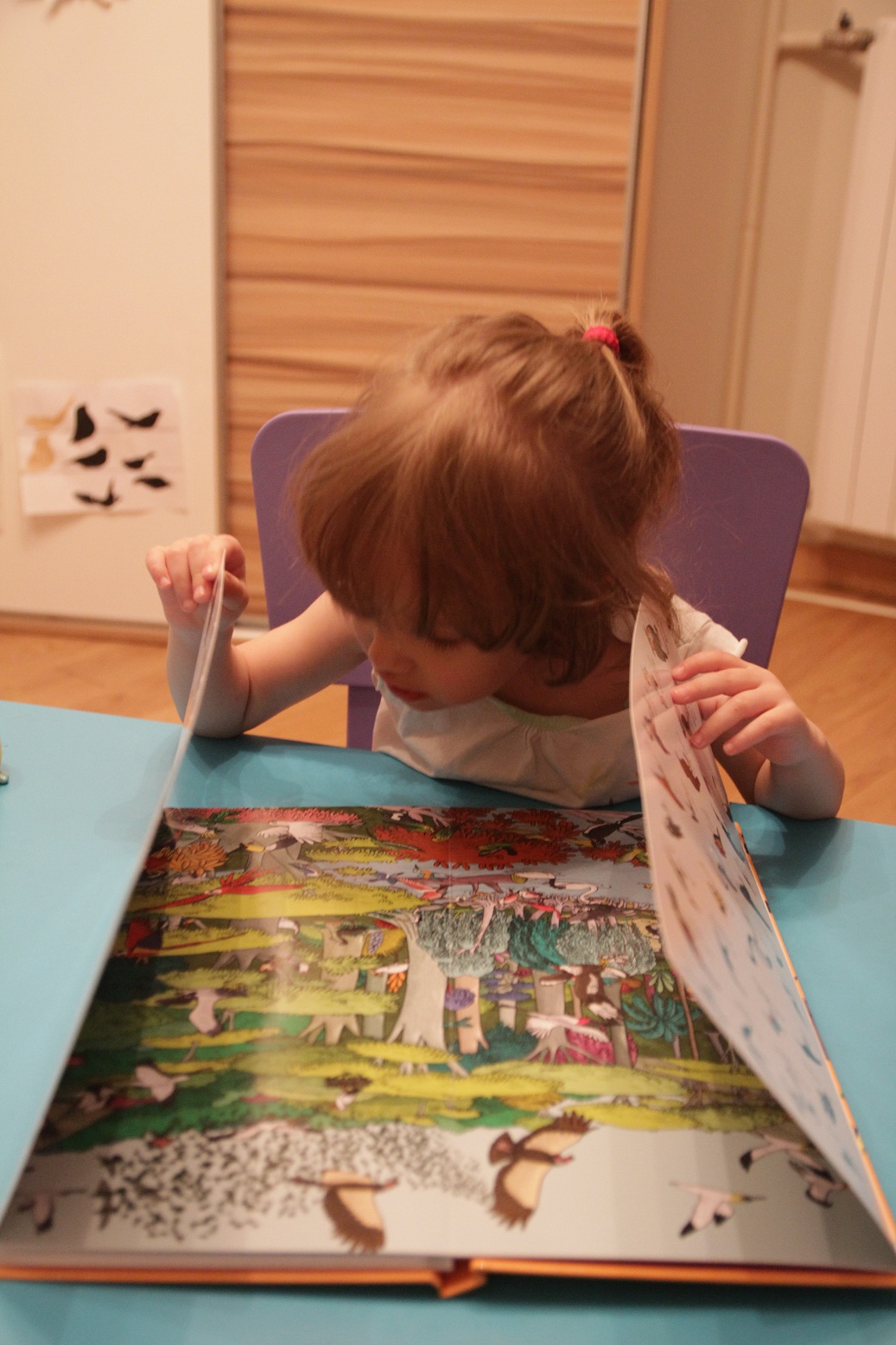 ТН Птицы день 5 вместе с проектом Play mama