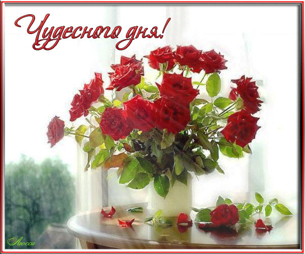 Доброго утра всем!