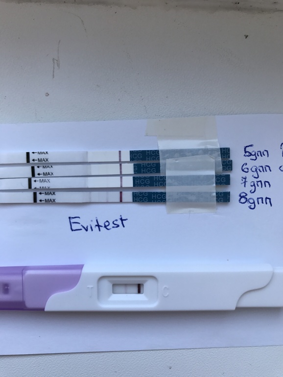 Тянет живот после эко. Эви 6 ДПП. 6дпп тест на беременность. Эви тесты 6 ДПП эмбриона. 11 ДПП трехдневок тест.