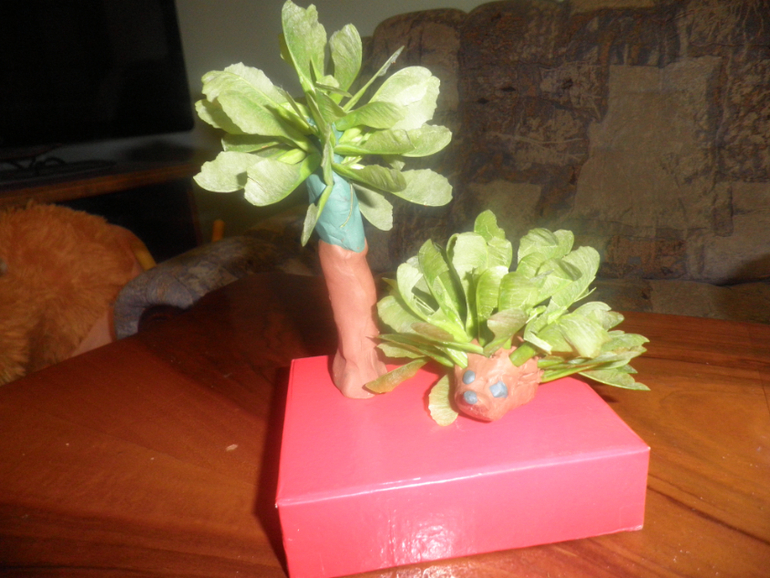 Ежик и пальма