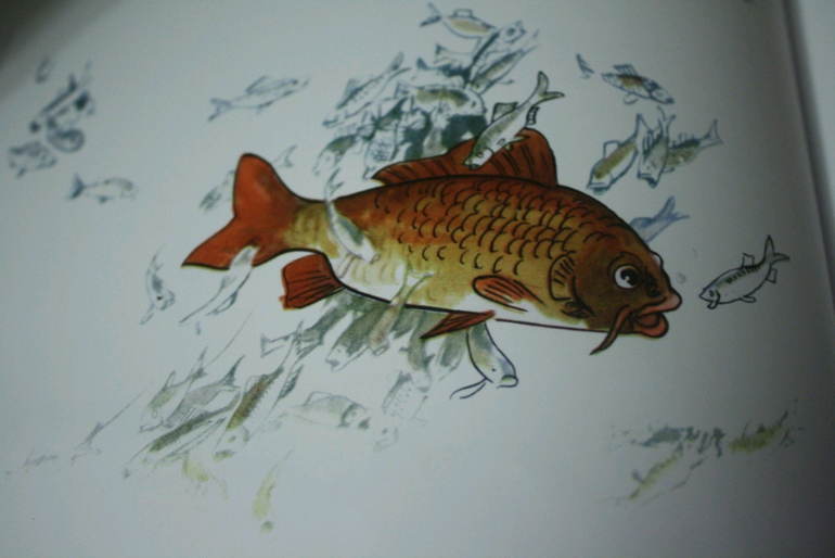 Приключение карпика