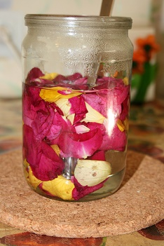 Природоведение.