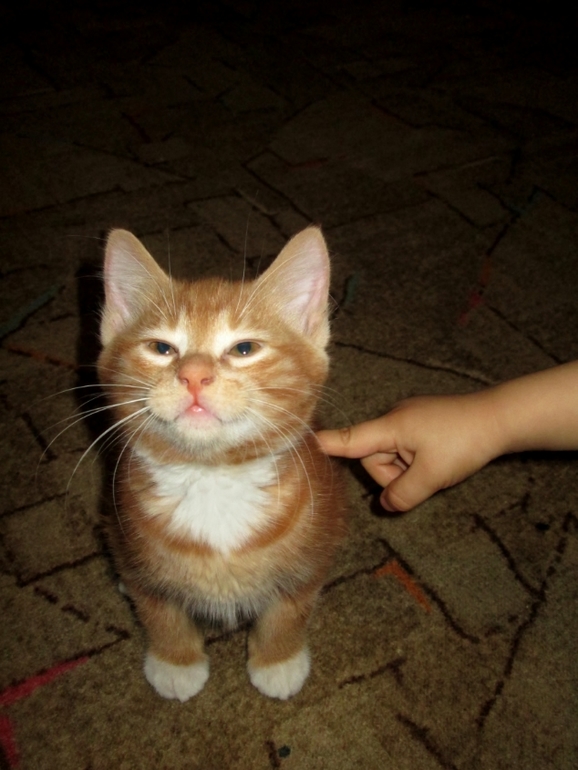 Знакомьтесь! Наш Семушка!