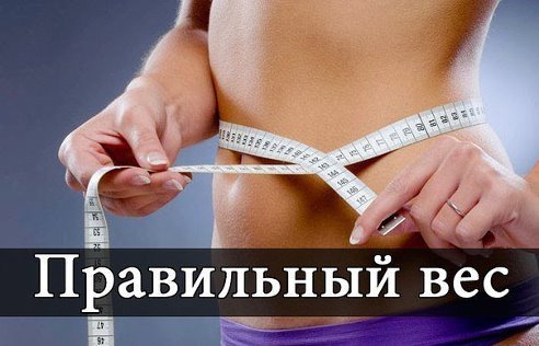 День 6 (меньше недели до лета - замеры)