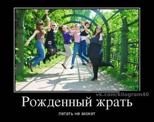 8dea51c36aadca9b072cec79431da869.jpg