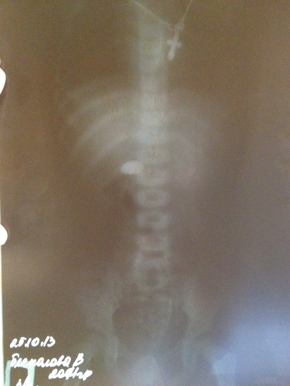 Венецианская красавица