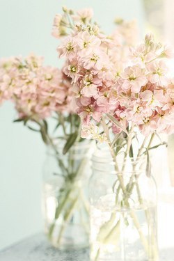 16f6f98149cb4d04b90b223bcc918afd.jpg