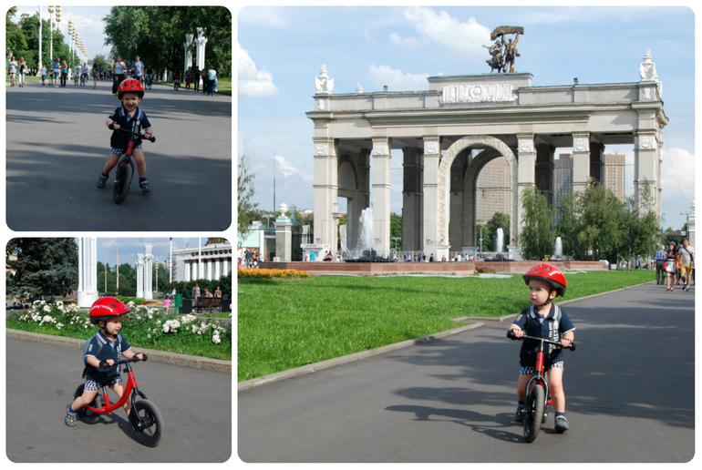 Дельфинарий на ВВЦ и другие приключения