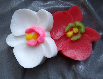 Нежная орхидея