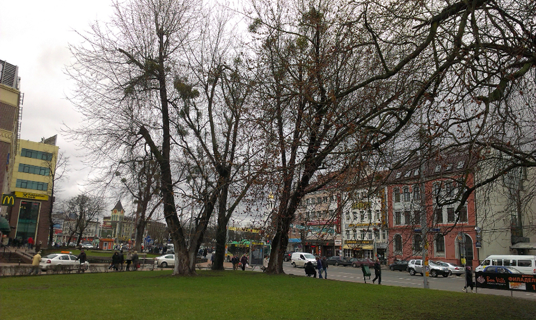 Калининград с ребенком 1,8