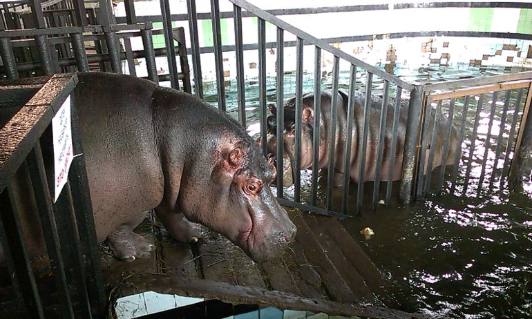 Калининград с ребенком 1,8