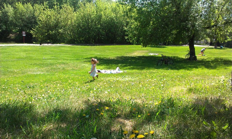 Мысли вслух