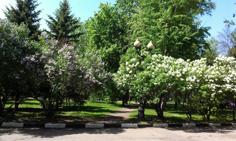 Мысли вслух