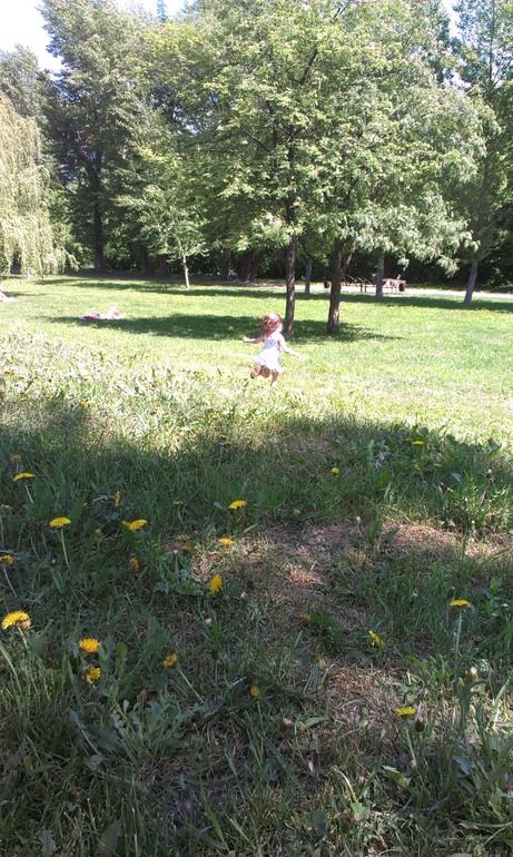 Мысли вслух