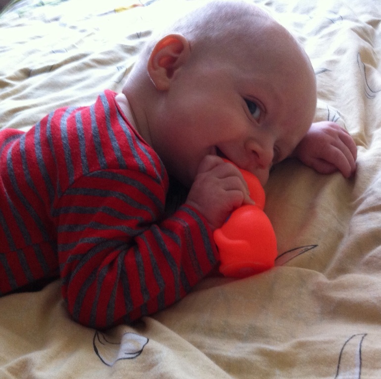 Остапчику 5 месяцев!