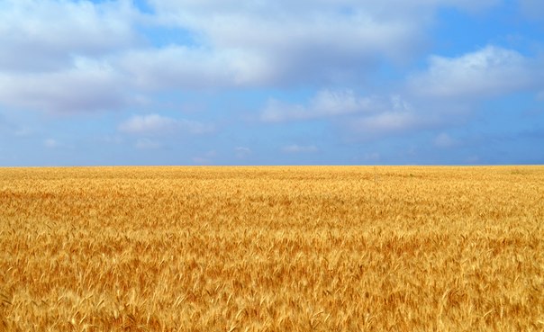 Любите свою страну!