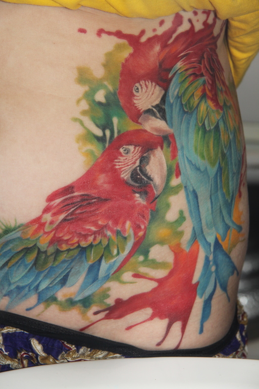 Мои попугаи)