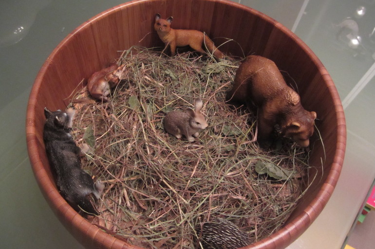 ТН Весенний переполох (12 марта)