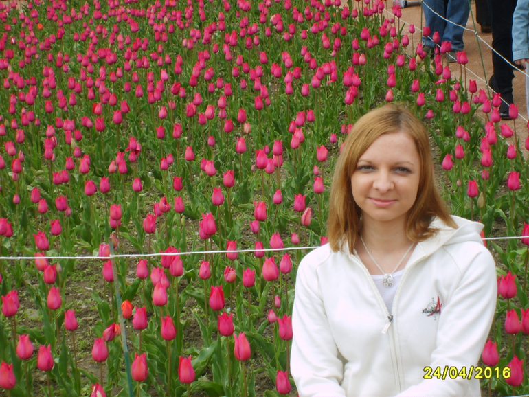 Никитинский ботанический сад.