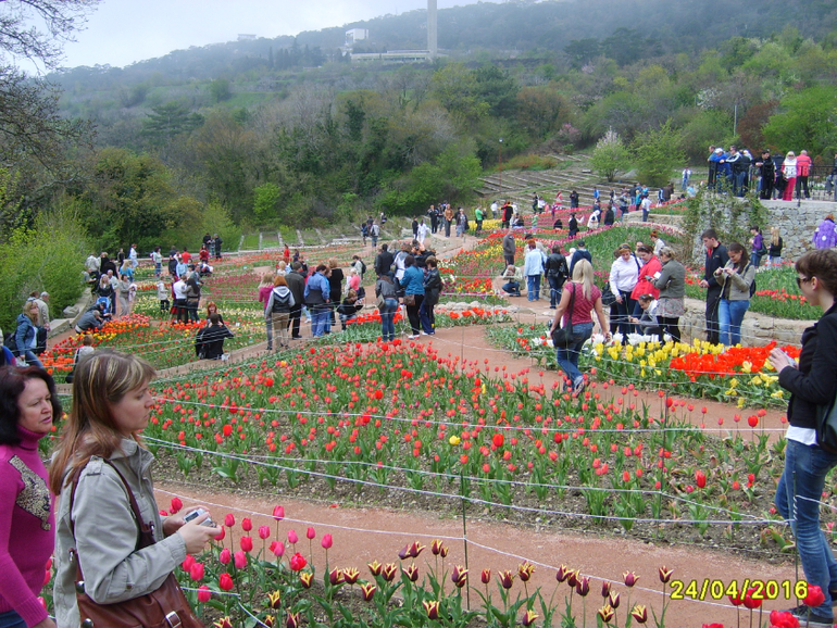 Никитинский ботанический сад.
