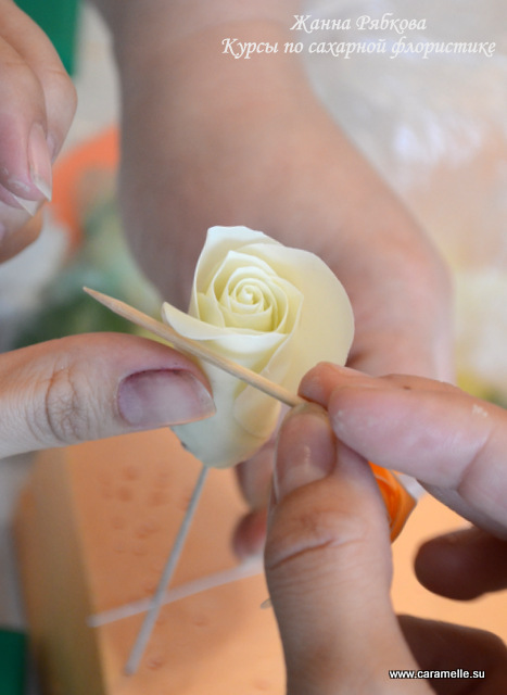 Фотоотчет с курсов по сахарным цветам в г. Уфа)))