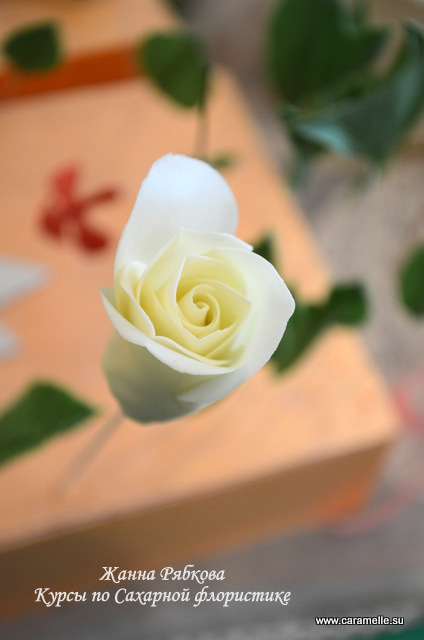 Фотоотчет с курсов по сахарным цветам в г. Уфа)))