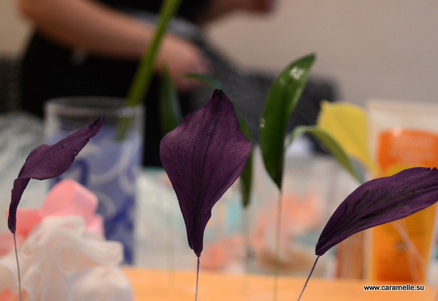 Фотоотчет с курсов по сахарным цветам в г. Уфа)))