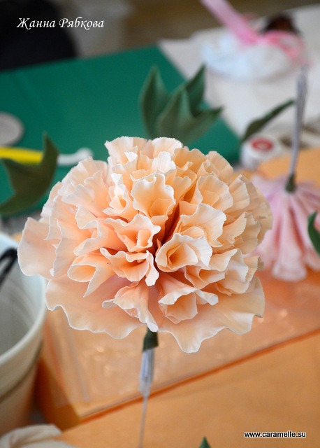 Фотоотчет с курсов по сахарным цветам в г. Уфа)))