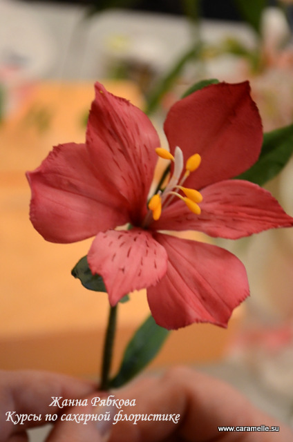 Фотоотчет с курсов по сахарным цветам в г. Уфа)))