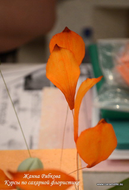 Фотоотчет с курсов по сахарным цветам в г. Уфа)))