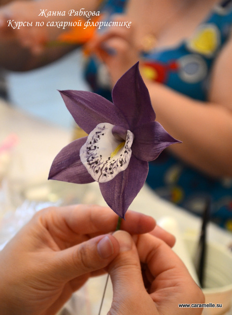 Фотоотчет с курсов по сахарным цветам в г. Уфа)))