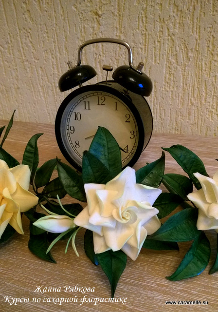 Небольшой фотоотчет о прошедшем курсе по Сахарной флористике