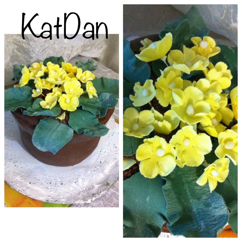 Фиалки для Тетушки!)