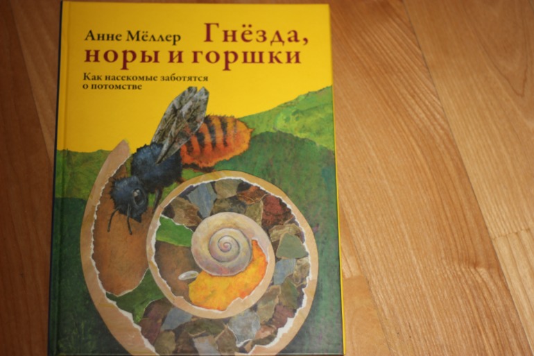 ТЗ Пчела