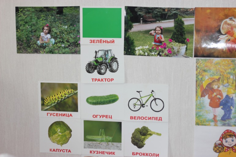 ТН Цвет