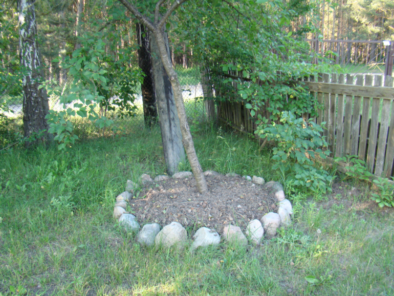 Мой огород( частично)