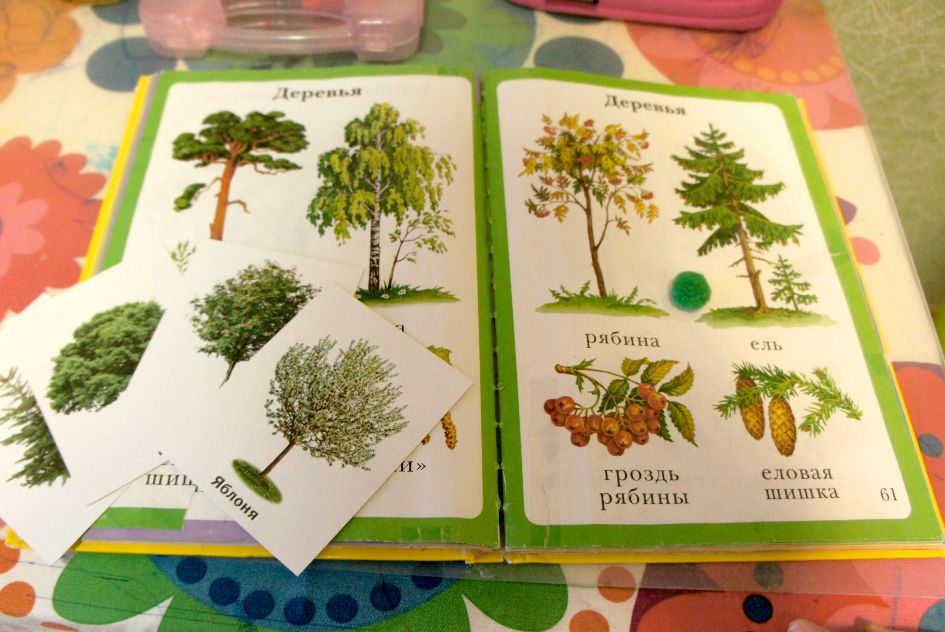 День 3 - Деревья весной