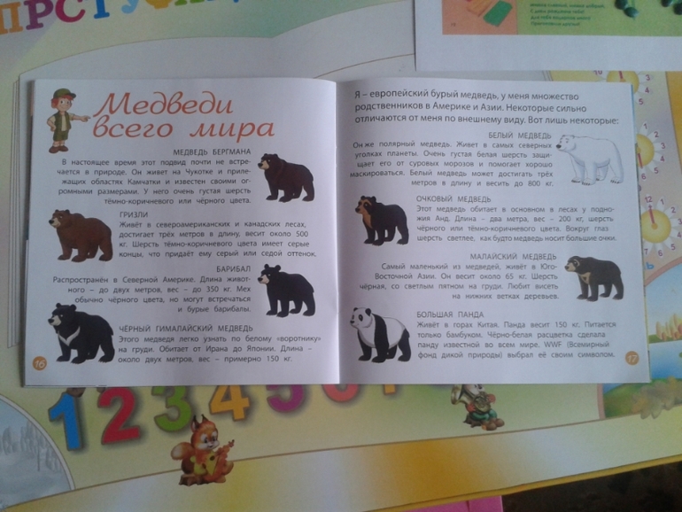 Тн Лесные животные Медведь
