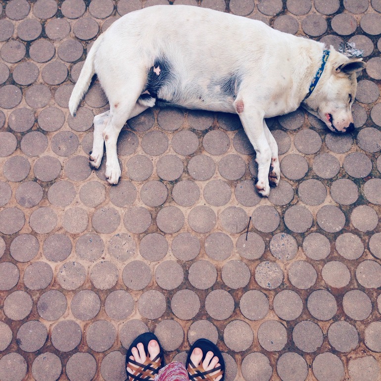 наша поездка в телефонной версии)