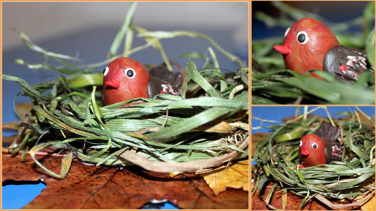 Наша птичья неделя