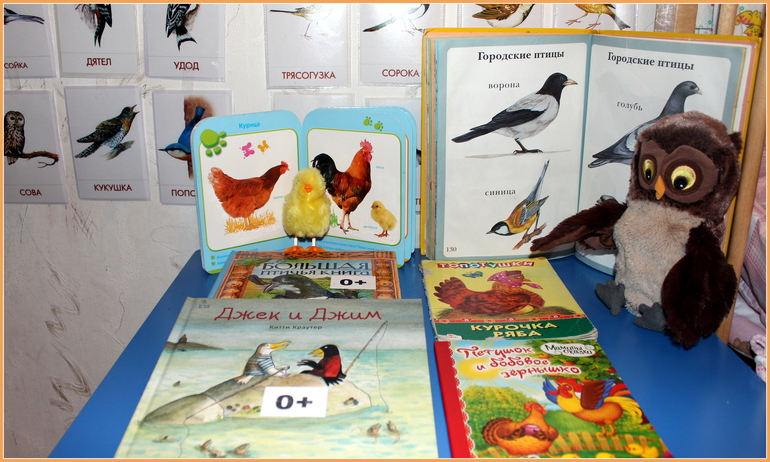 Наша птичья неделя