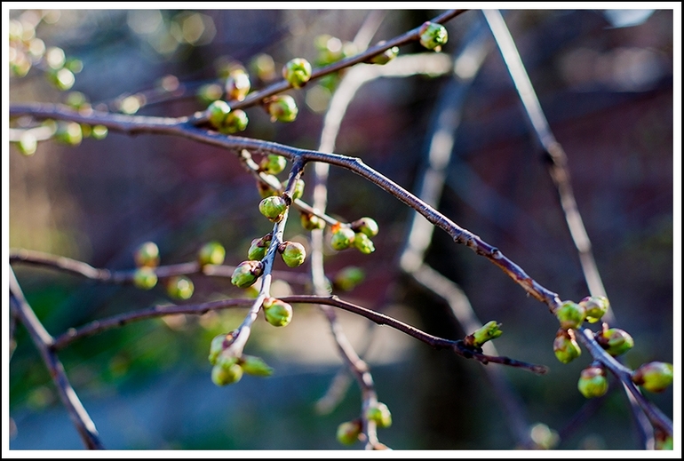 Останній день березня..