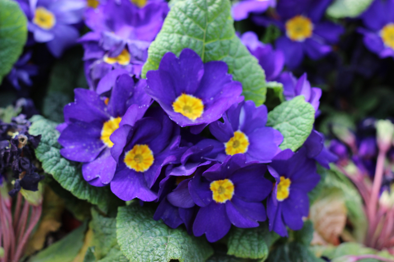 Одна страна - одна команда!