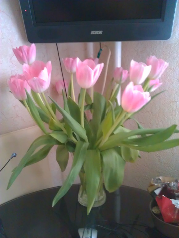 делюсь хорошим настроением!