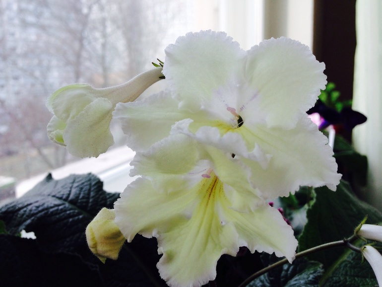 Еще немного красоты!))